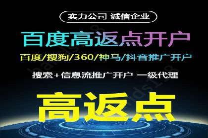 某企业通过SEM实现品牌与销售双增长的案例